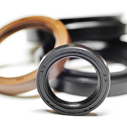 Oil Seals